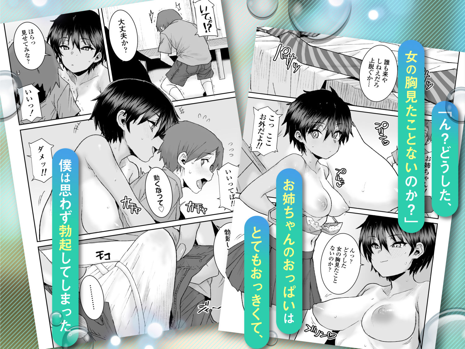 無口で気の強いボーイッシュなお姉ちゃんで僕は童貞を卒業しました サンプル2